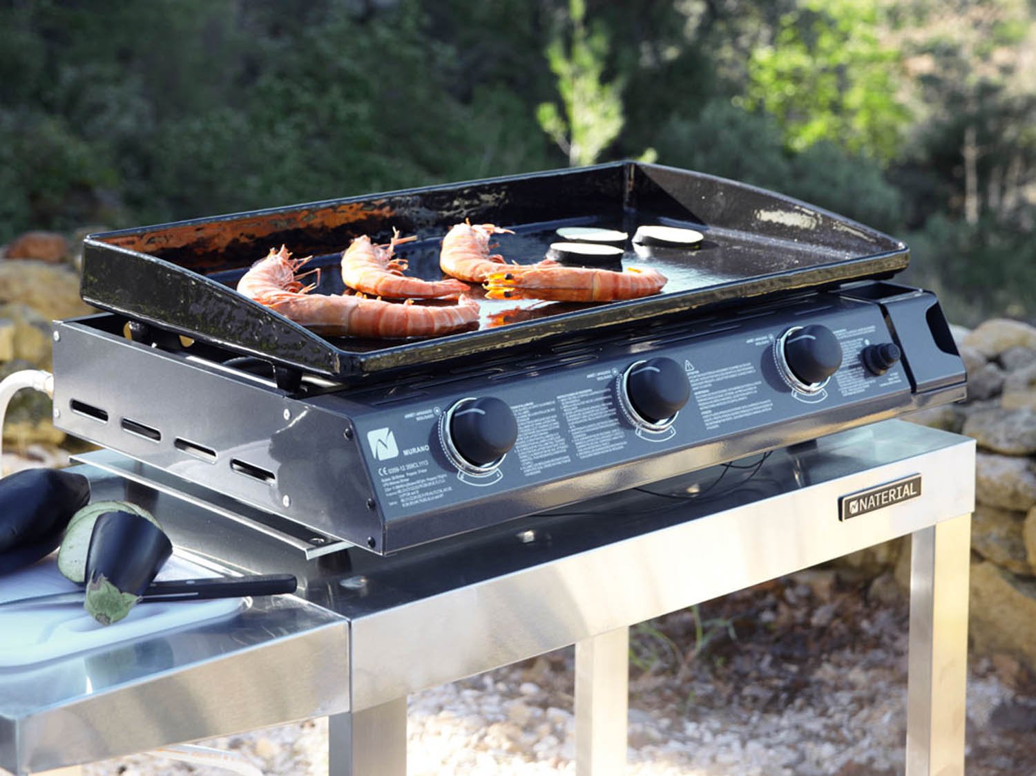 Comment choisir sa plancha ?